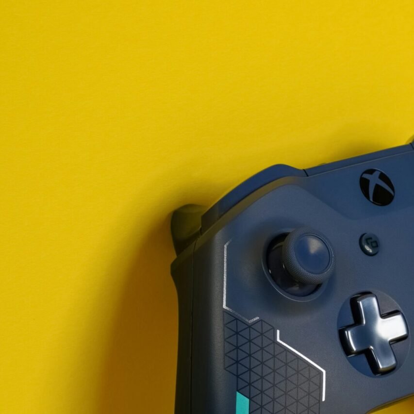 Customizing Your Joystick: A Guide for Enthusiasts